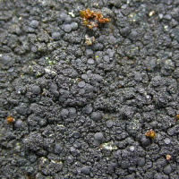 ���������� ������