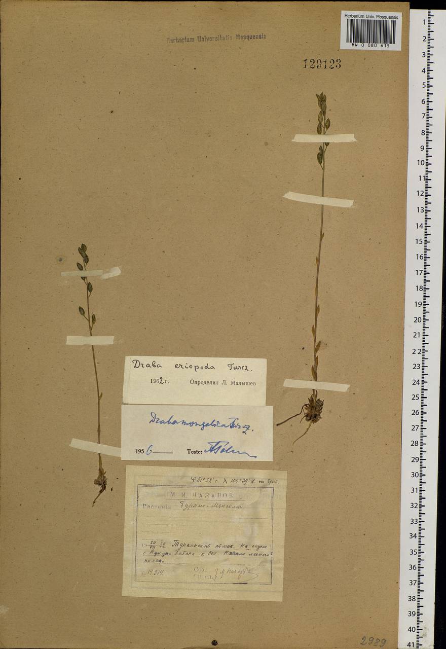 ������ ��������