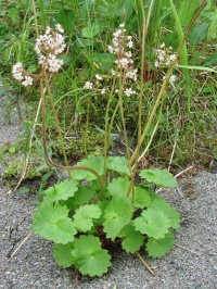 ��������� ������