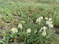 ������������� ������������