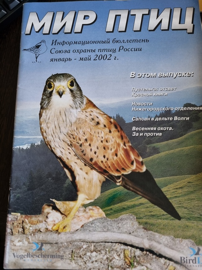 ��� ����