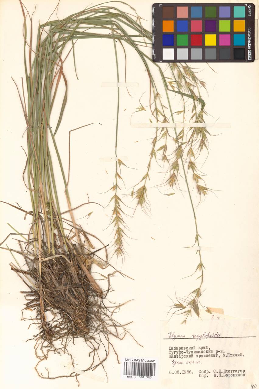 �������������� ��������������