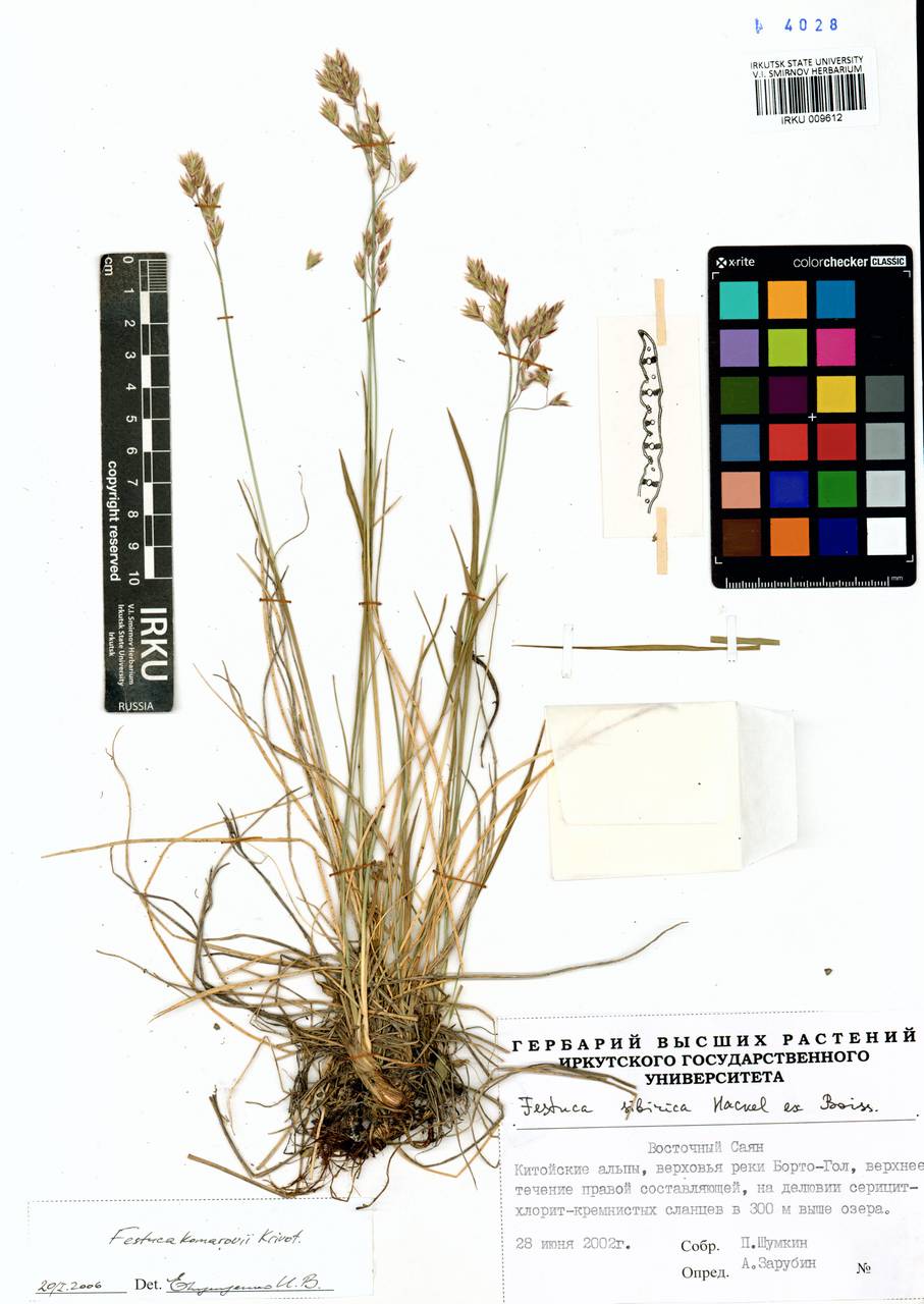 �������� ��������