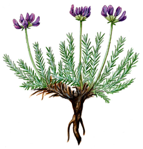 ������������� �����������������