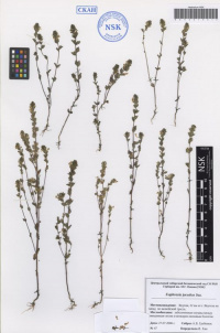 ������ ��������