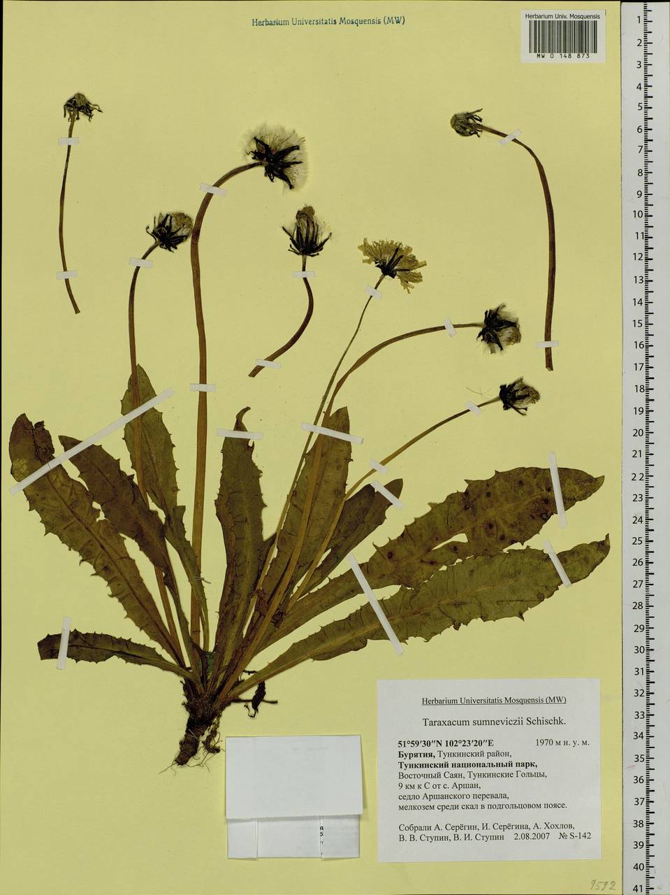 ��������� ���������