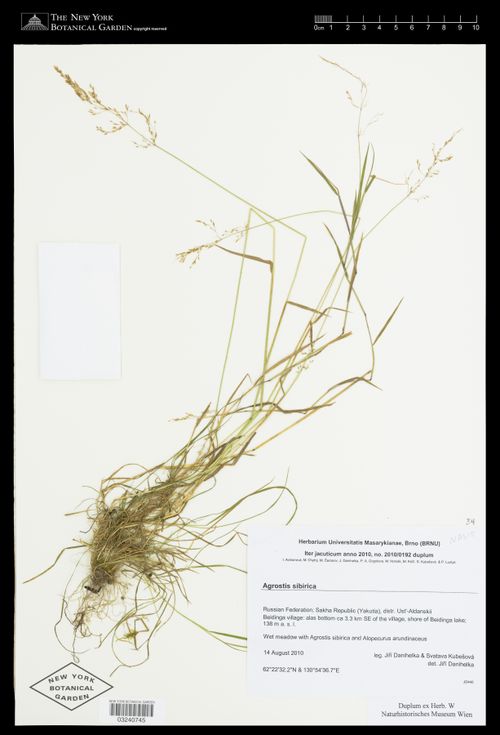 �������� ���������