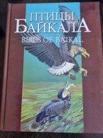 ����� �������