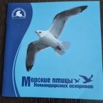 ������� ����� ������������ ��������