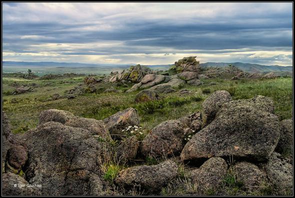 ������������ �����