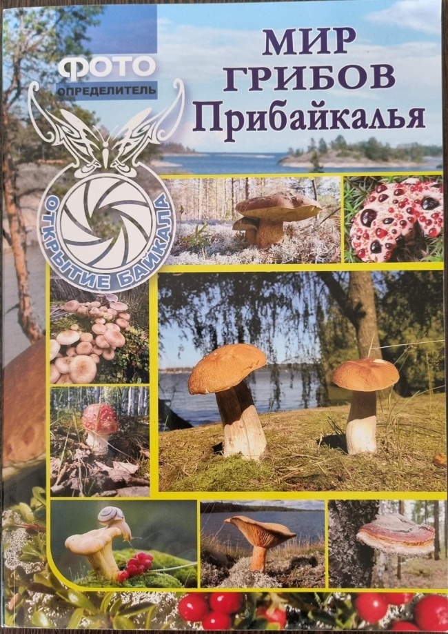 ��� ������ �����������