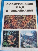 ������������ ��� � ����������