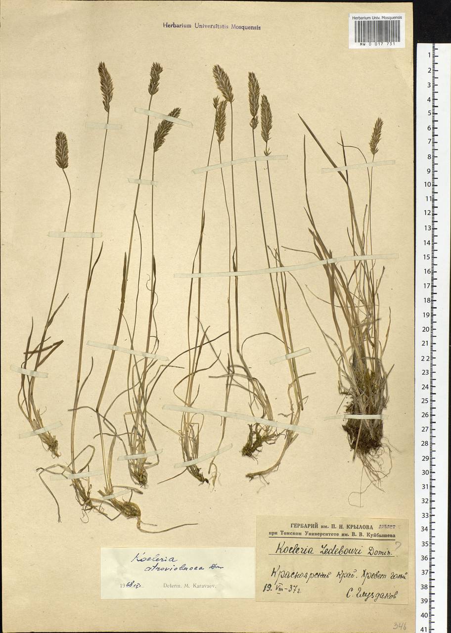 �������� �����-����������