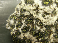 ���������� ���������