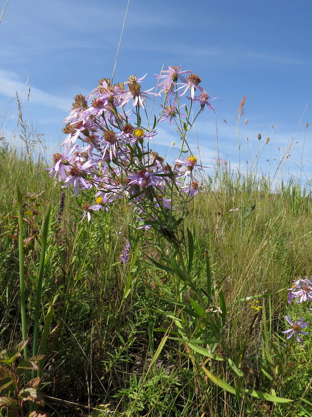 ���������� ��������