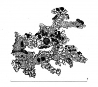 ������������ ����������������