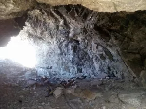 ������ ����-������