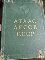 �����  ����� ����