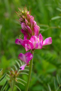 ��������� �������