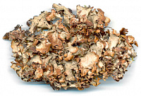 �������� �����������