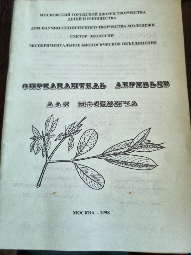 ������������ �������� ��� ��������