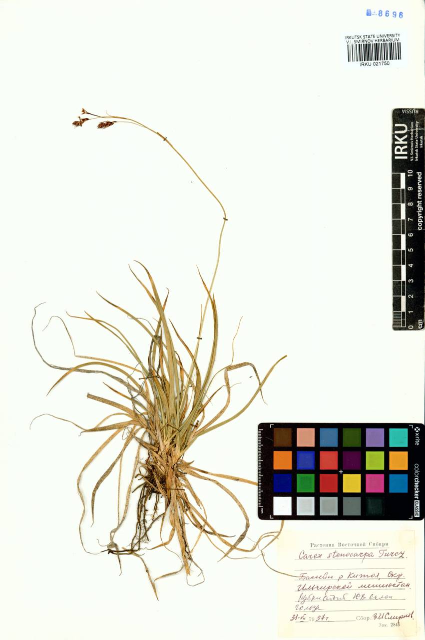 ����� �����������