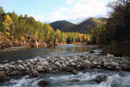 ������� ���������