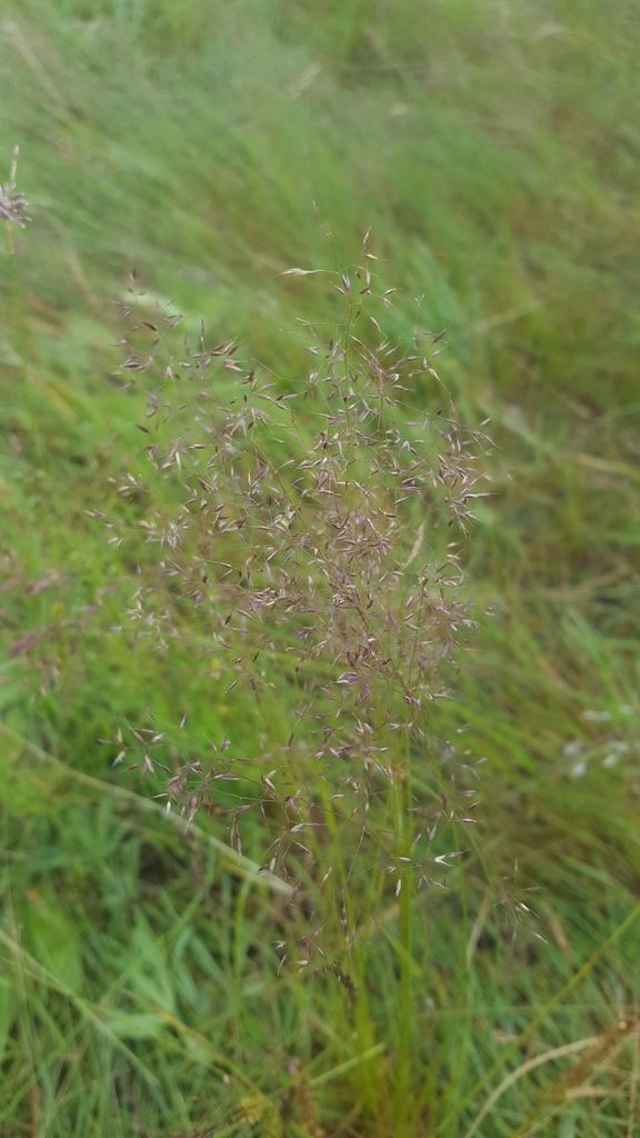 �������� �����������������