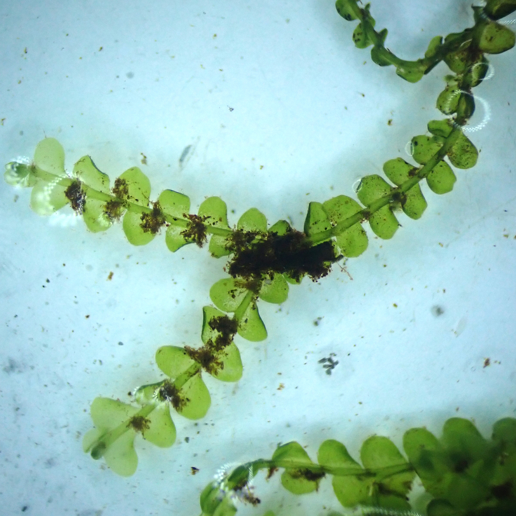 ���������� ������