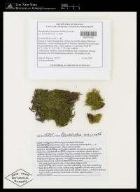 ������������ ��������