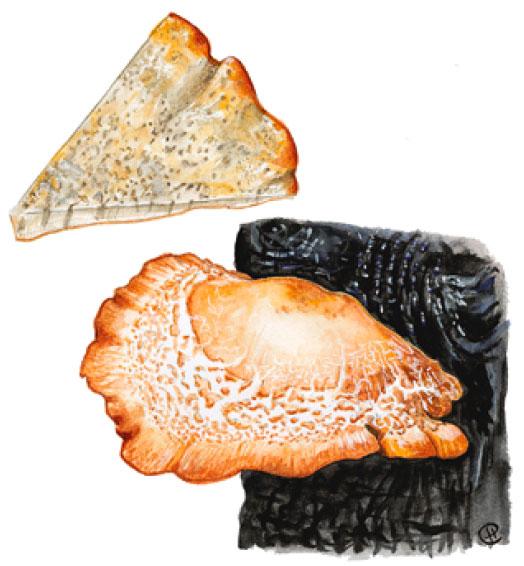 �������� ��������������