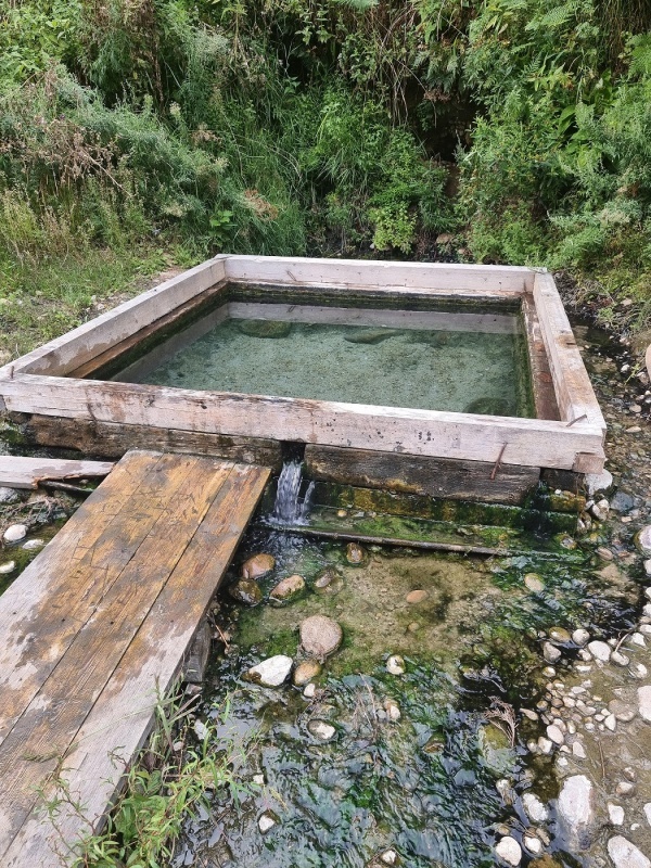 ������������� ���������